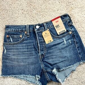 Levi's Distressed Blue Jean Shorts